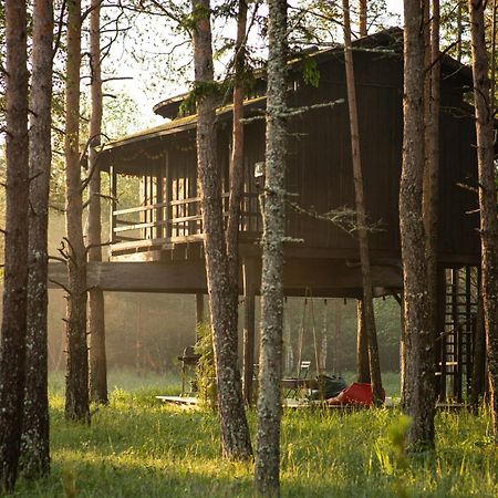 Willa Sambliku Treehouse Jogisoo Zewnętrze zdjęcie