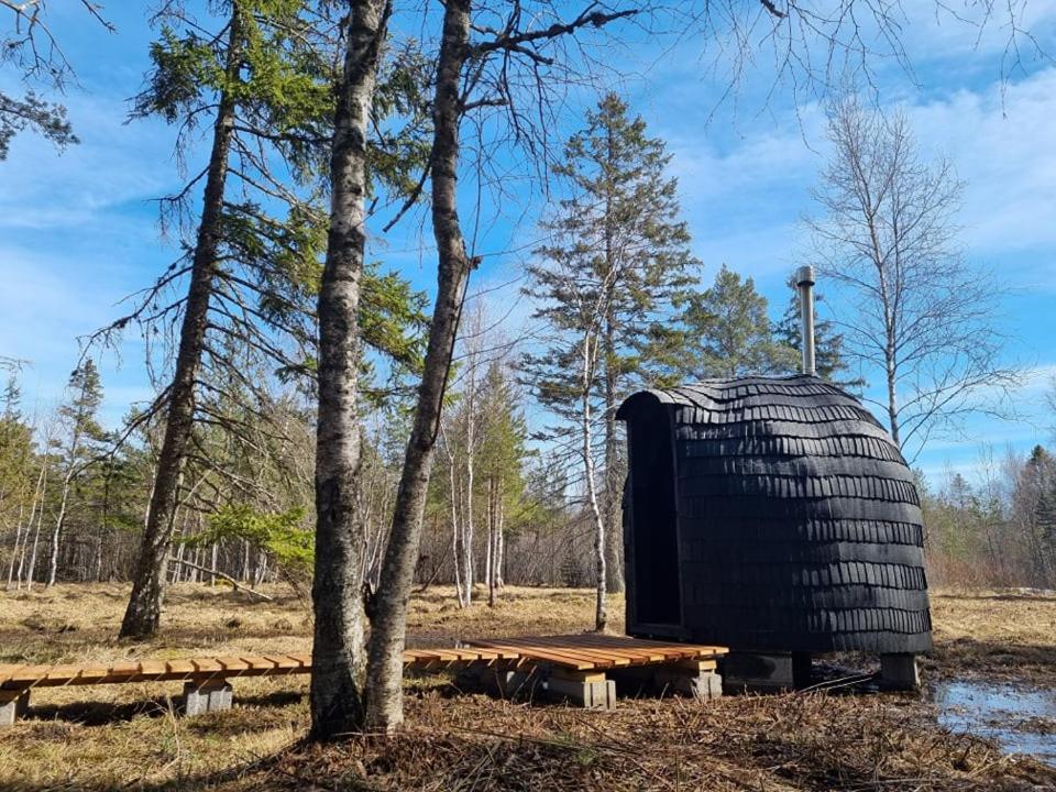 Willa Sambliku Treehouse Jogisoo Zewnętrze zdjęcie