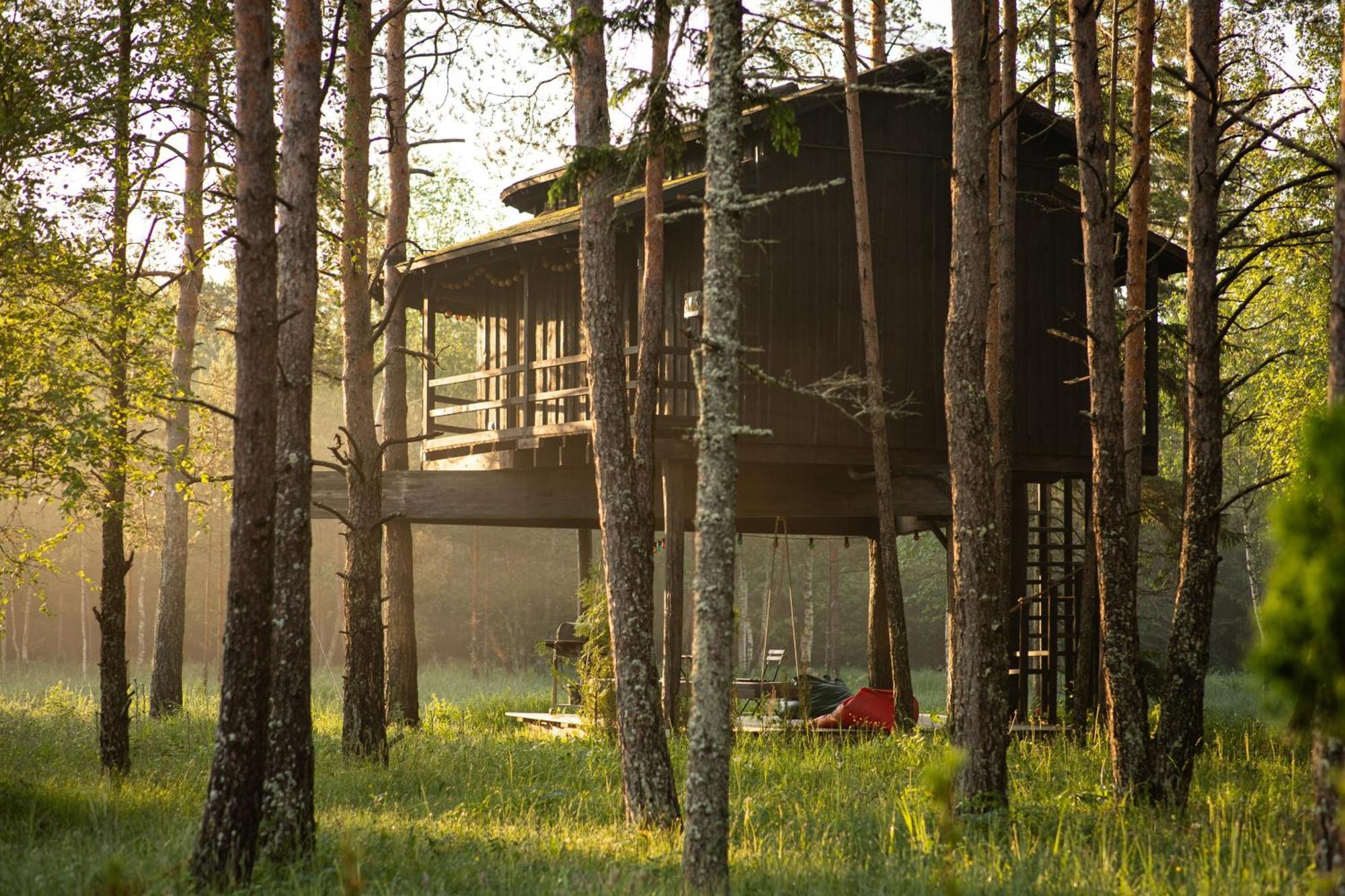 Willa Sambliku Treehouse Jogisoo Zewnętrze zdjęcie
